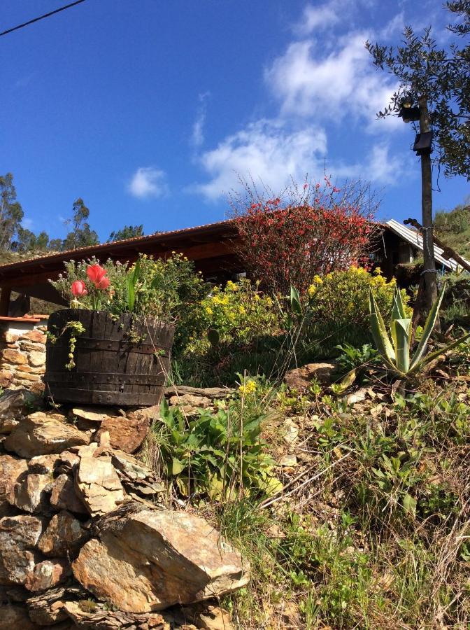 Unique Tiny House With Natural Building Techniques Figueiro Dos Vinhos Exterior photo